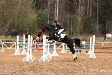 x_8599cf26.webp