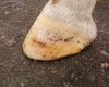 Фото-0050_resize.jpg