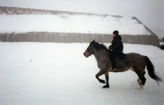 y_c6e8b032.webp