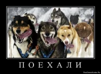 1295789489_732758_p-o-e-h-a-l-i.webp