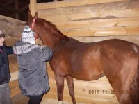 012.webp