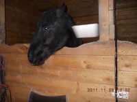 011.webp