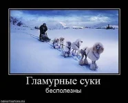x_37124be8[1].webp