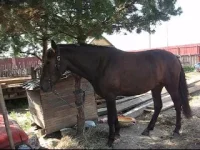 Изображение 123 002_0003.webp