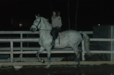 z_dfe32411.webp