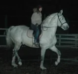 z_8ca8b44d.webp