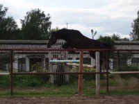 Авинир7.webp