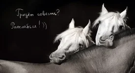 93795--45534804-m750x740-u7d69a.webp