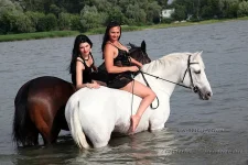 getImage.webp
