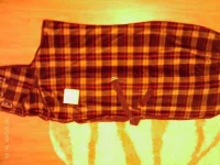 IMAG0078.webp
