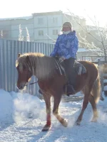 P1010170_web.webp