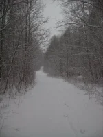 CIMG0138.webp