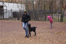 fb5c848be252[1].webp
