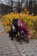 x_3d04c433[1].webp