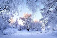 44.webp