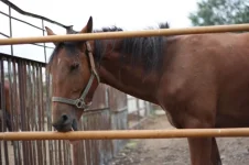 r 971.webp