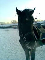 17122011(001).webp
