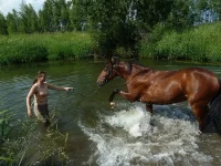 Копия P1050084.webp