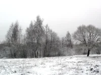P1110617.webp