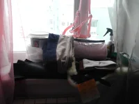 z_98ef8f86.webp