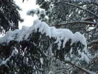 x_ef46f224.webp