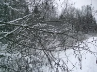 Копия 2010_01140062.webp