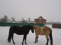 55e2880509d7.webp