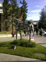 pasadena.webp