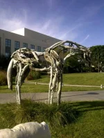 pasadena2.webp