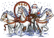 лошады.webp