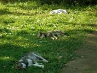 P9220130.webp