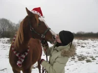 z_b1de4f3d.webp