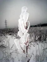 Лёд1.webp