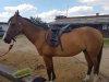 IMG-20170812-WA0003.jpg