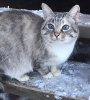 IMG-20170923-WA0005.jpg