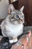 IMG-20170923-WA0008.jpg