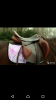 Screenshot_20171013-012434.png