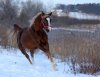 IMG_6750.JPG