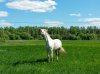 20160513_130722.jpg
