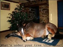 HorseUnderTree.webp