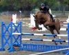 180506_961444540305_3401107_50790067_1897463_c.jpg