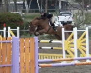 168094_961444590205_3401107_50790070_5981114_ch.webp