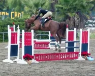 179022_961444310765_3401107_50790060_7407001_n.webp