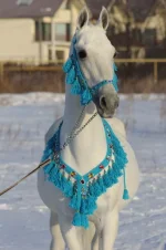 x_6c917e53.webp