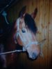 DSC00427.JPG