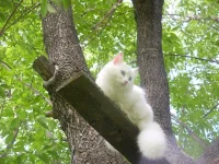 лера.webp