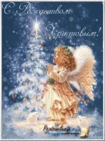 1320944204_vapvpap.webp