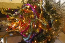 3731.webp