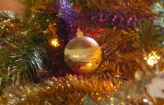 3737.webp