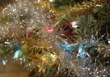 3748.webp